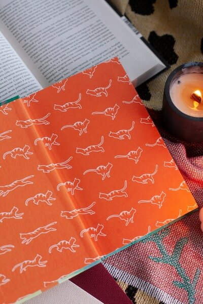 Фото https://www.mann-ivanov-ferber.ru/catalog/product/ryzii-kot-futa-iz-kafe-mezdu-mirami/?ysclid=m52i666f1x826856139