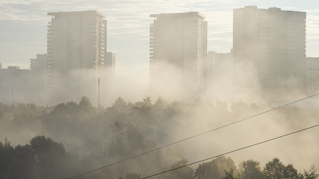    Фото: Константин Кокошкин/Globallookpress.