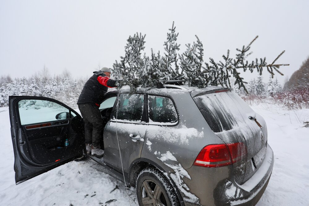    ©Агентство городских новостей "Москва"