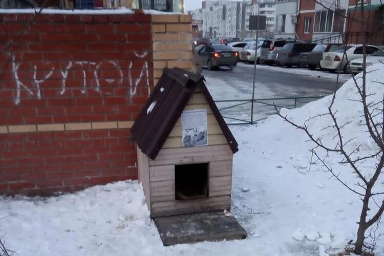 Будка для пончика