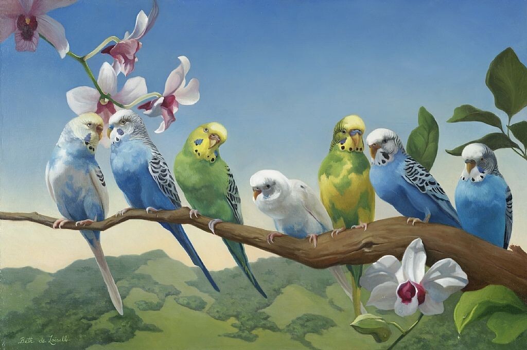 Яндекс картинки