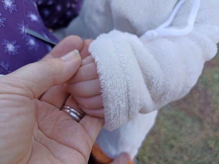     Эксперт: родители-иностранцы могут получить материнский капитал. Фото: МК в Мурманске.