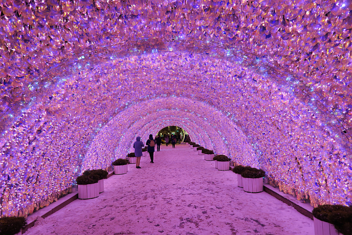 Никитский бульвар в этом году. Фото: fotoload.ru