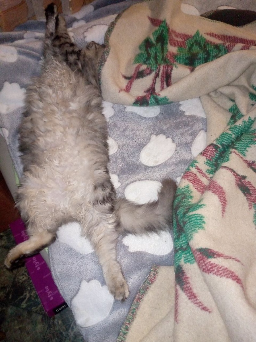 Примерно так это и происходит...