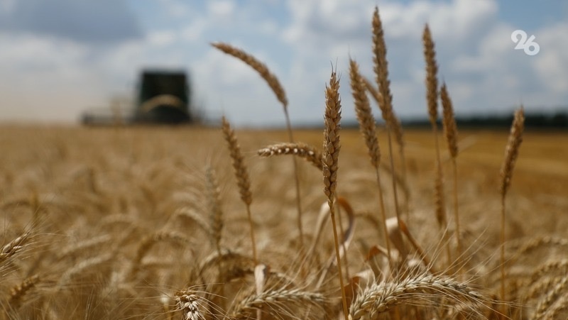      Фото: ИА «Победа26»