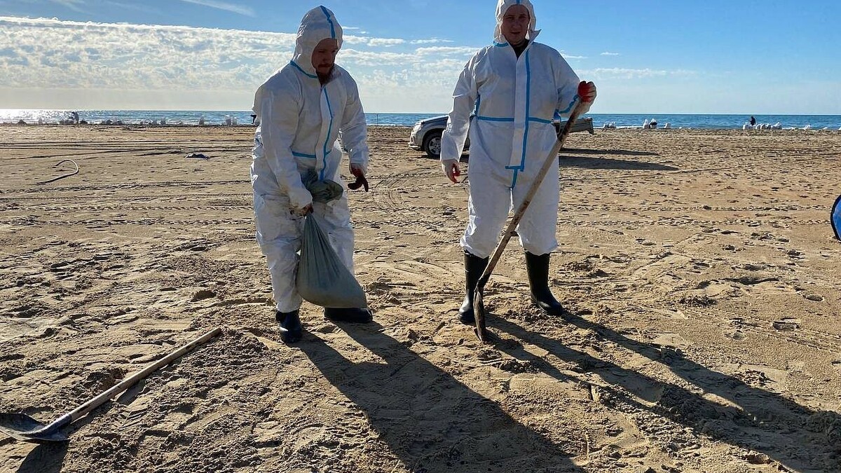    Фото: телеканал «Краснодар»