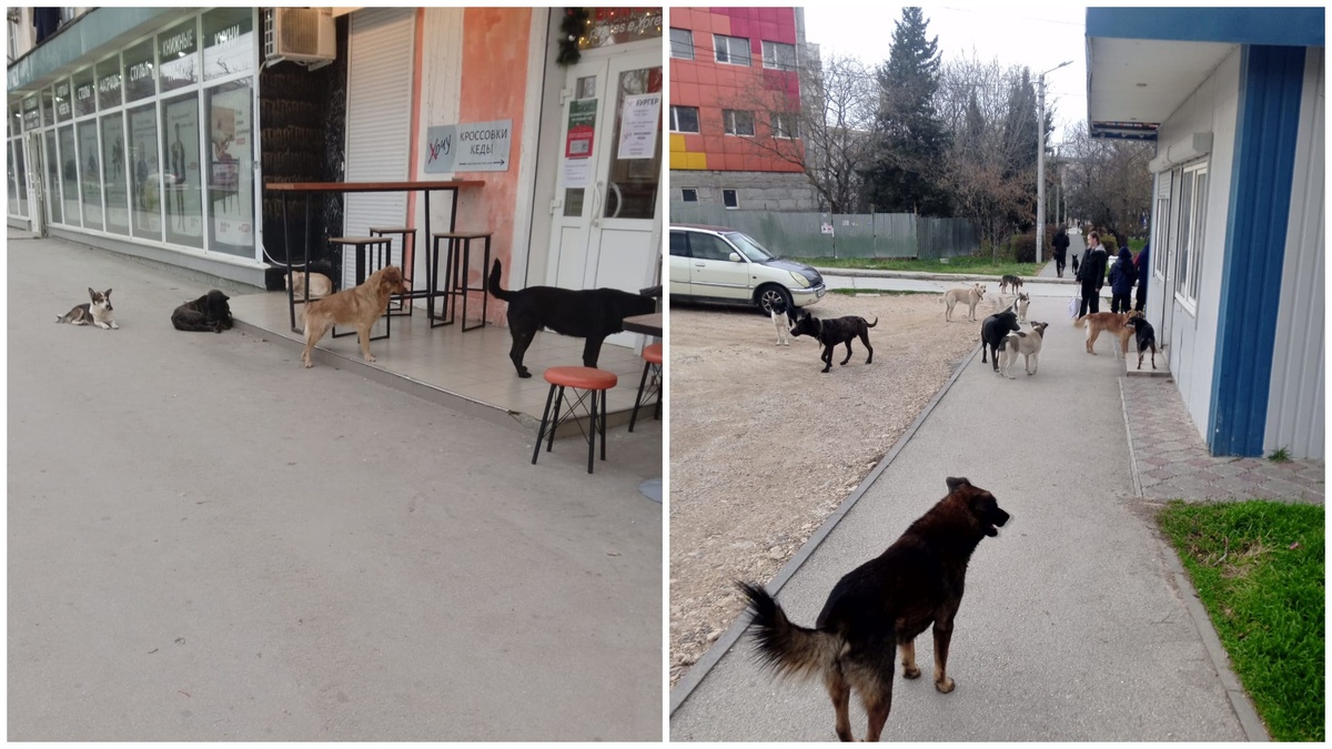 Фото: читатель ForPost