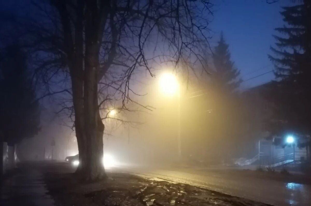    В среду на Белгородчине ожидается туманная погода