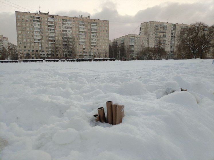     Размер штрафа может варьироваться. Фото: «МК в Великом Новгороде»