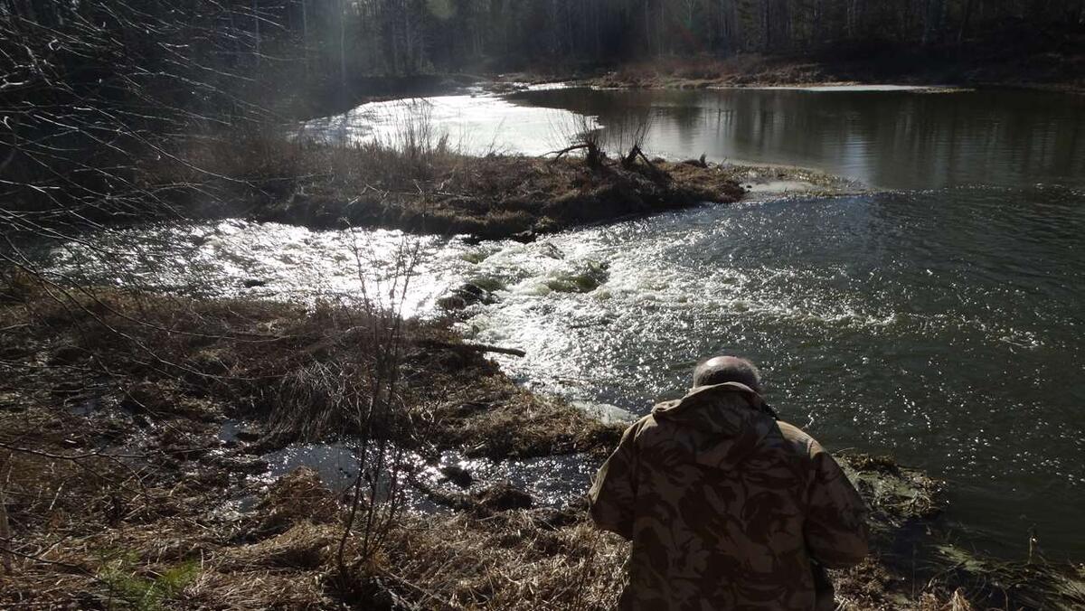    На берегу Нейвы stalker