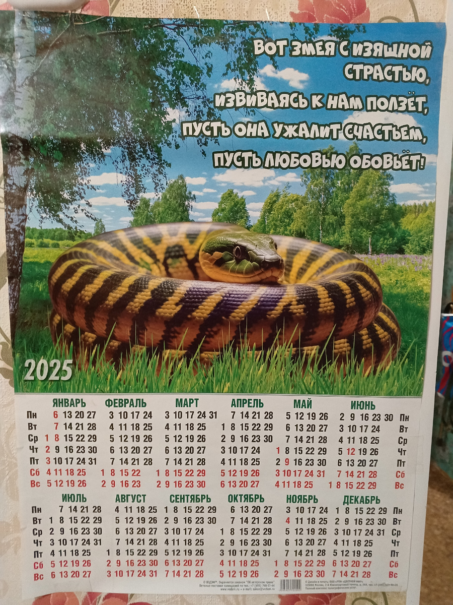 Фото календаря на 2025 год.