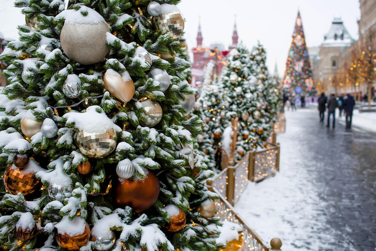     123RF/legion-media.ru