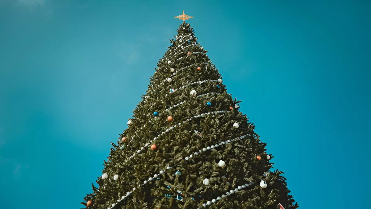 Фото: 1MI. Новогодняя ёлка