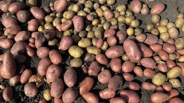 Фото: SterlitamakTime.ru