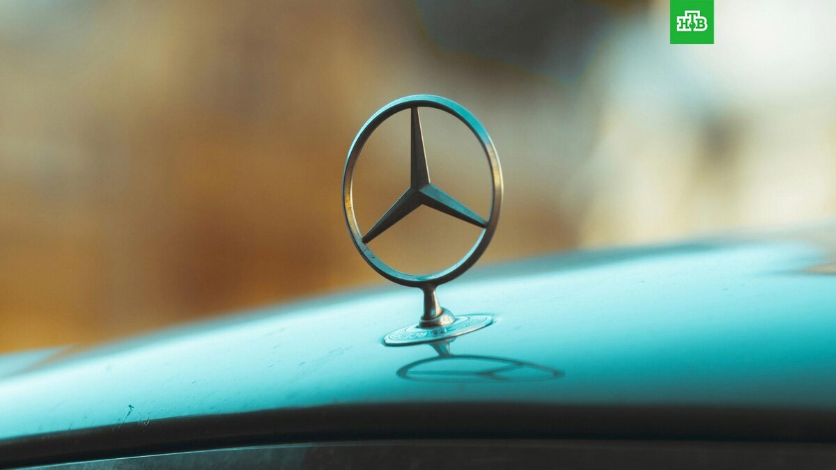    Фото: Matheus Bardemaker / unsplash.com