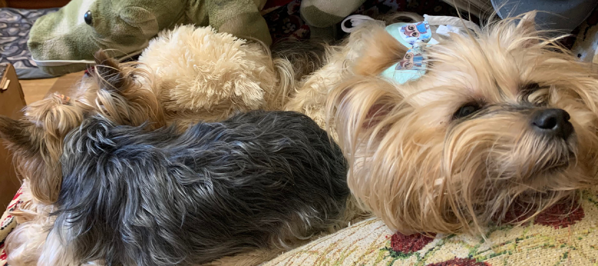 Первые, самые трудные дни, когда надо было следить за каждым шагом...