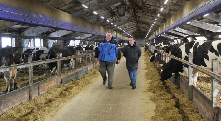    О системе точного кормления КРС рассказали в «Коровкине»