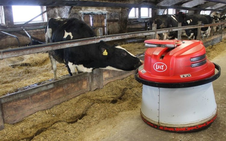     О системе точного кормления КРС рассказали в «Коровкине»
