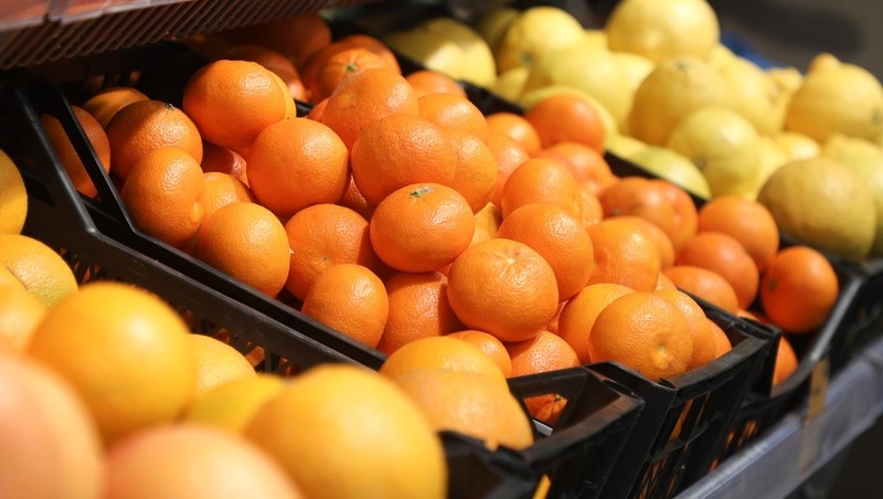      Фото: Дмитрий Ахмадуллин / / ИА «Победа26»