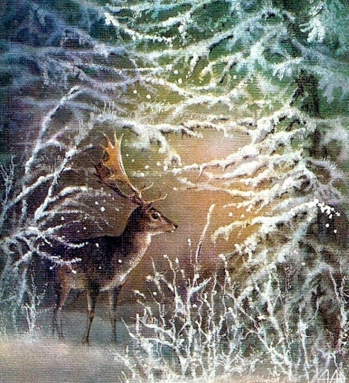 Не "открыточные" звери Алексея Исакова