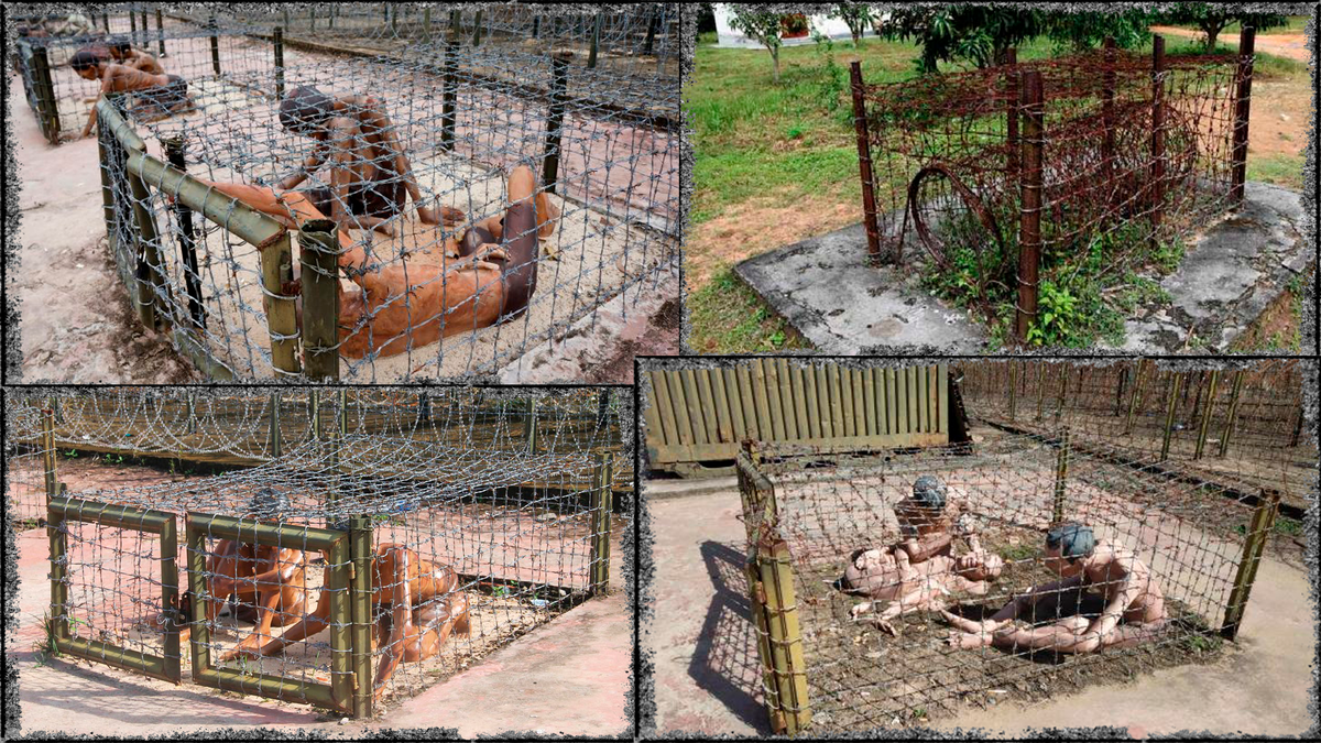 Клетки с колючей проволокой