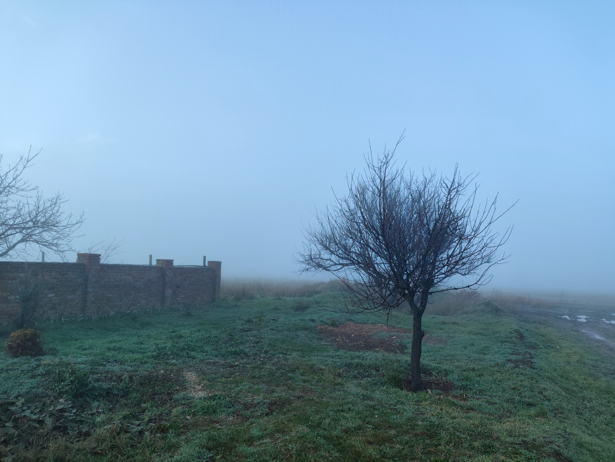 Как в сказке....