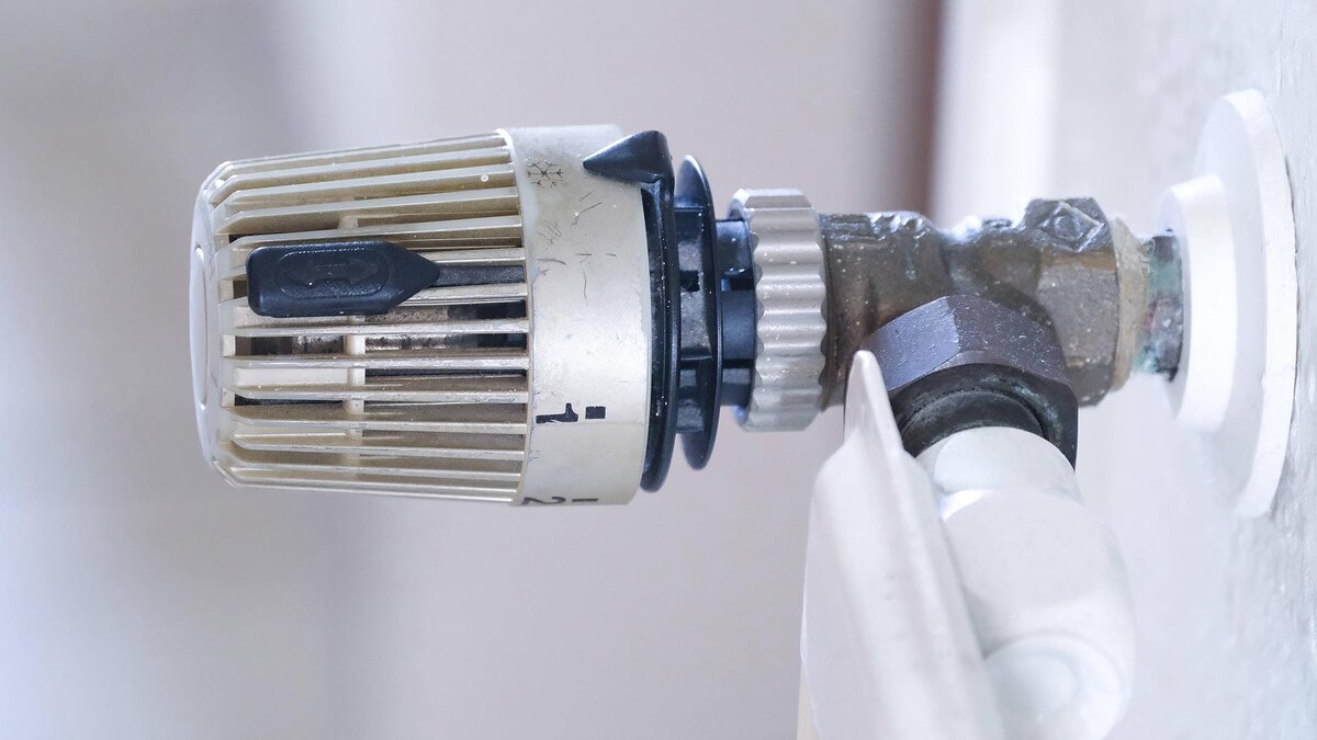    Фото: IMAGO/Michael Gstettenbauer/globallookpress.com