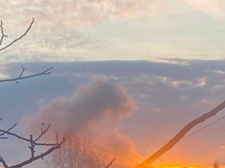 Фото: Соцсети