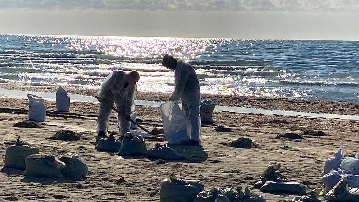    Фото: телеканал «Краснодар»