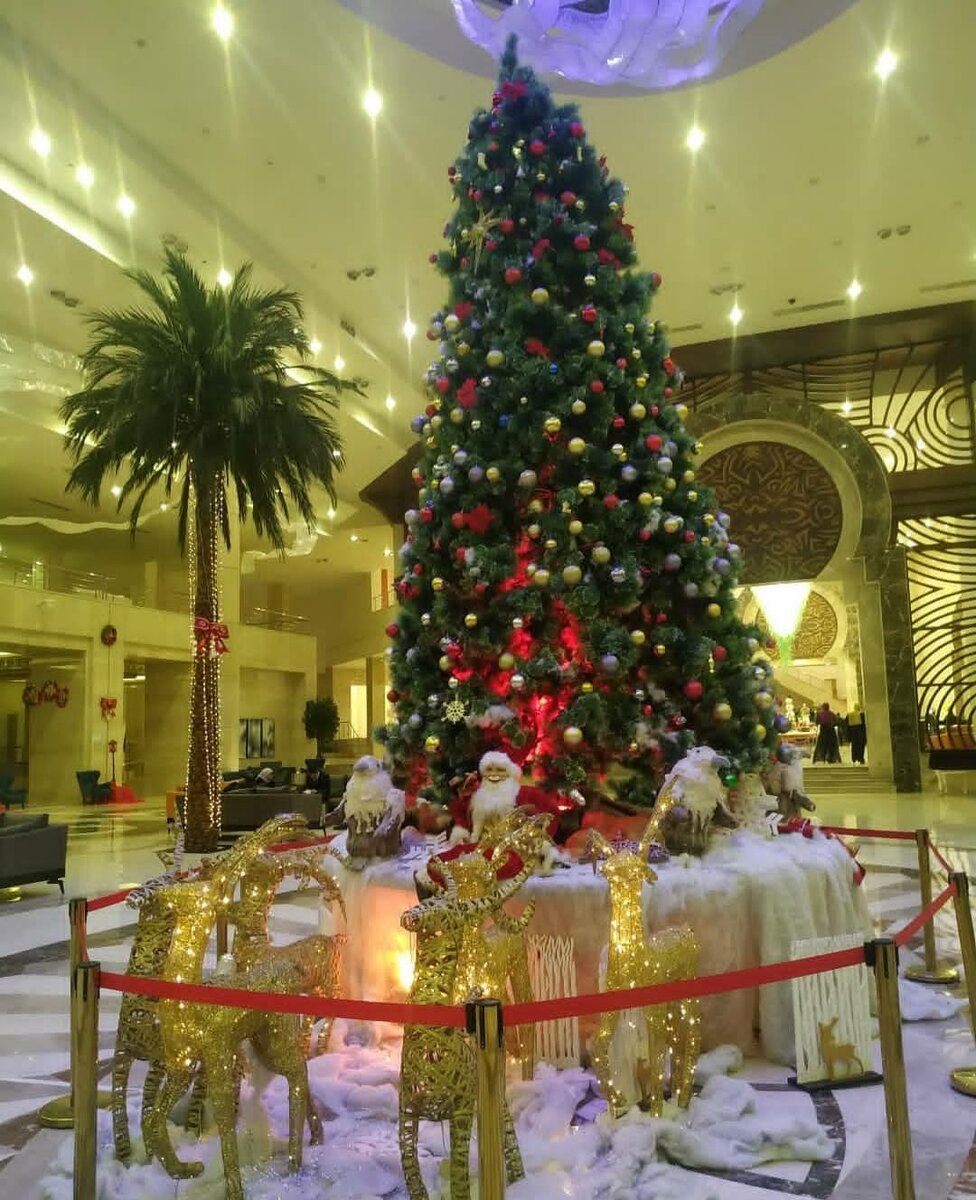 Асе фото в отеле "Триумф" сделаны автором