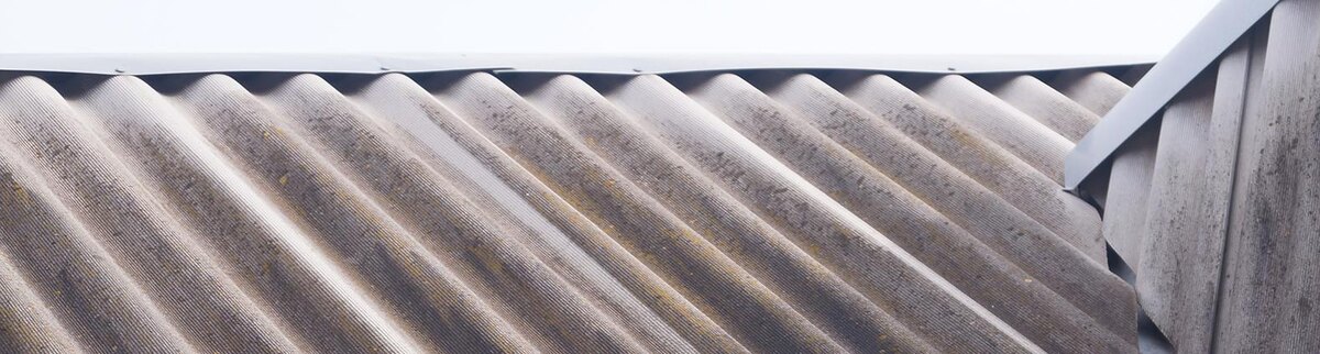    Фото: Сергей Егоров