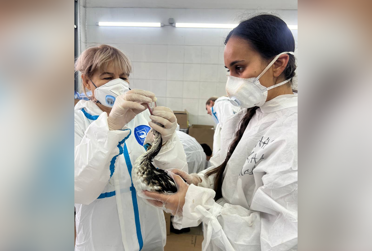    Татьяна Сусликова (справа) Фото из личного архива героини