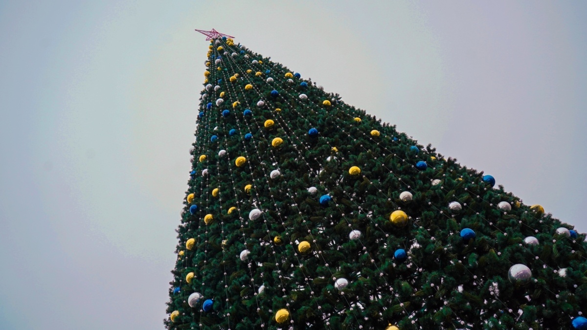 Светлана Мулыкина📷
