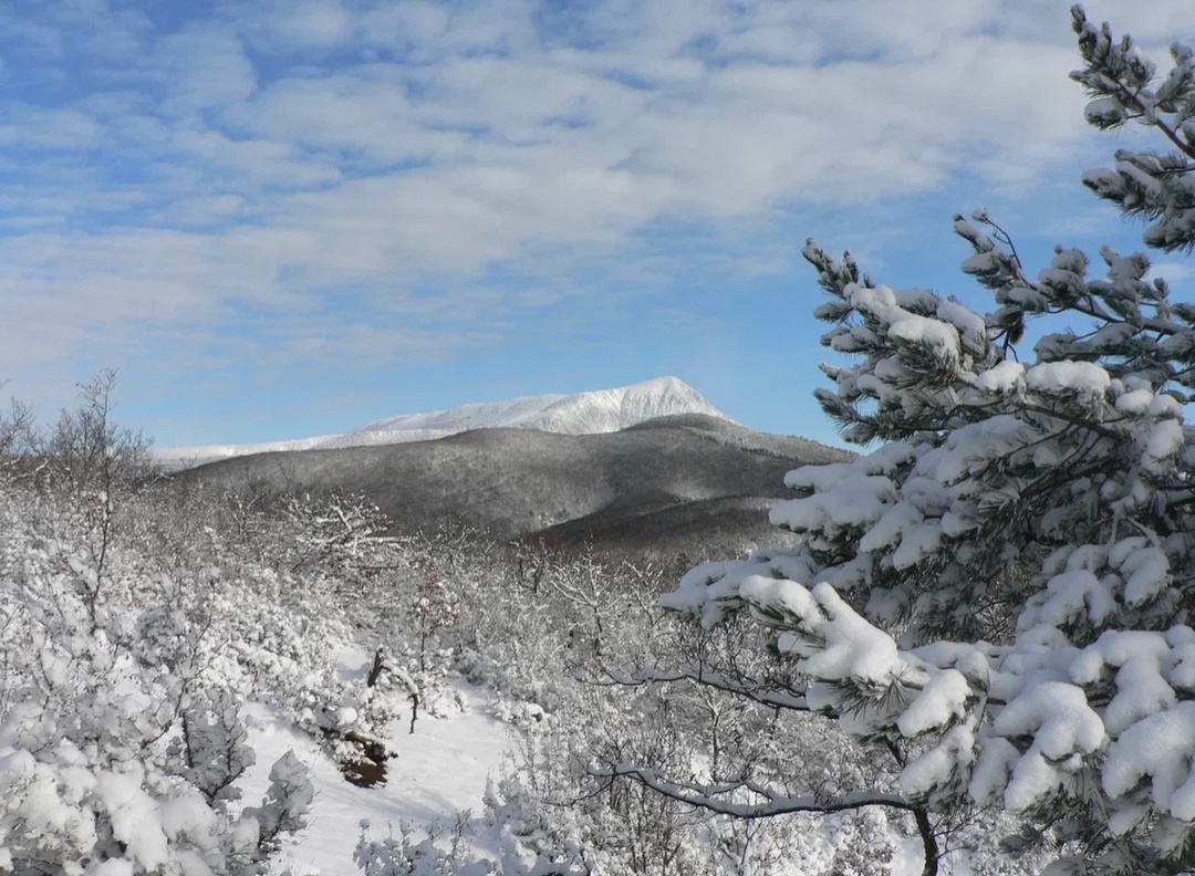  Окрестности горы Чатыр-Даг // Фото: Национальный парк «Крымский» 