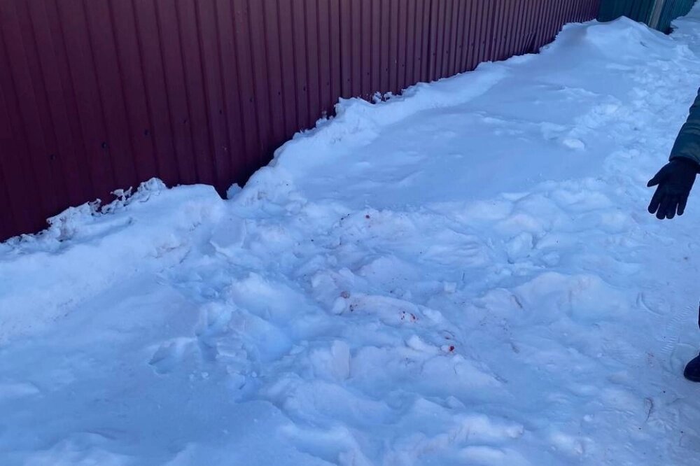    Место происшествия. Фото: Прокуратура Хабаровского края