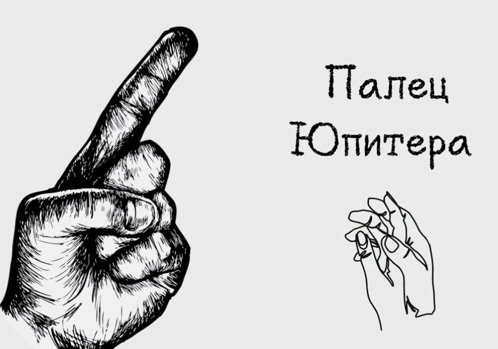 Фото из интернета 