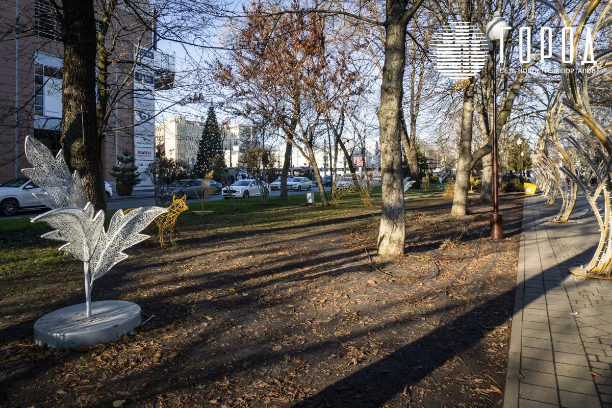 Фото: новости Краснодара "Город".
