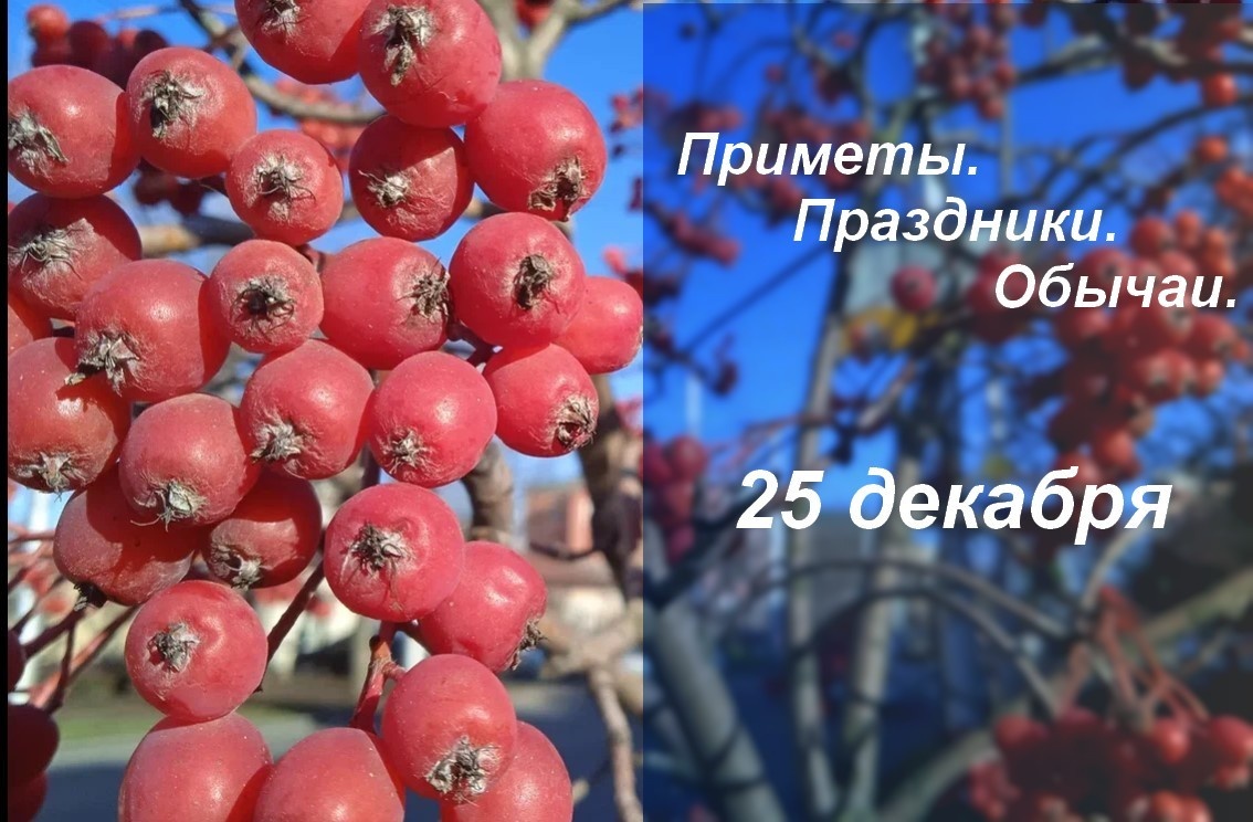   ГТРК "Ставрополье"