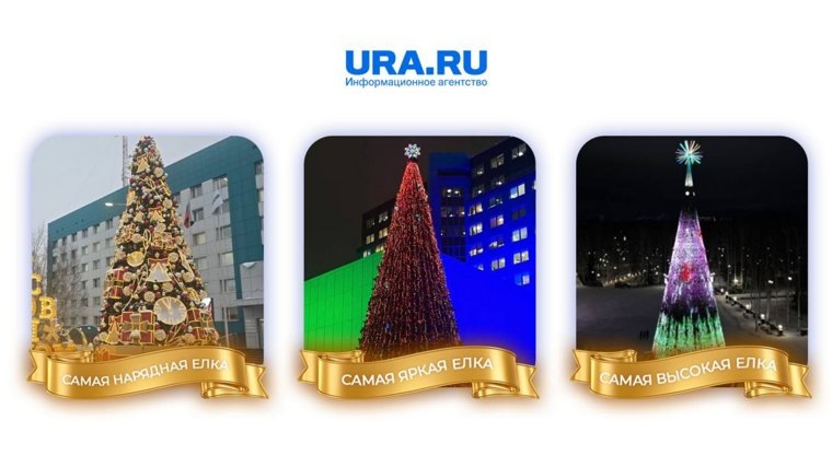 Елки в Нижневартовске, Сургуте и Ханты-Мансийске
Фото: Коллаж URA.RU