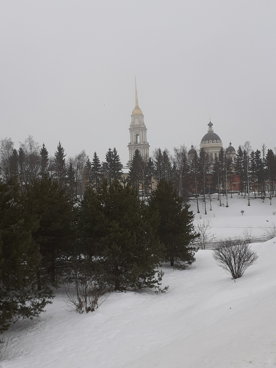 А вот с более близкого расстояния. Елочки вполне себе хорошо видны