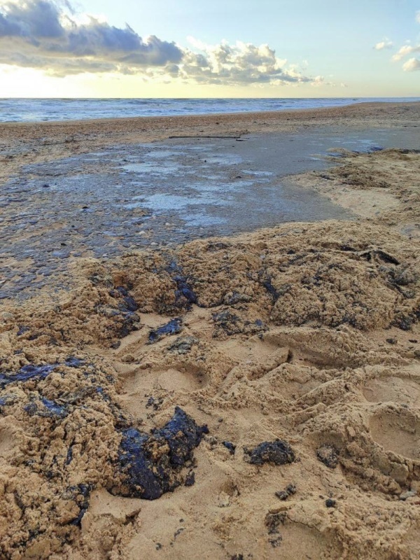    Мазутная катастрофа Анапы вызвала взрывной рост бронирования курортного Крыма