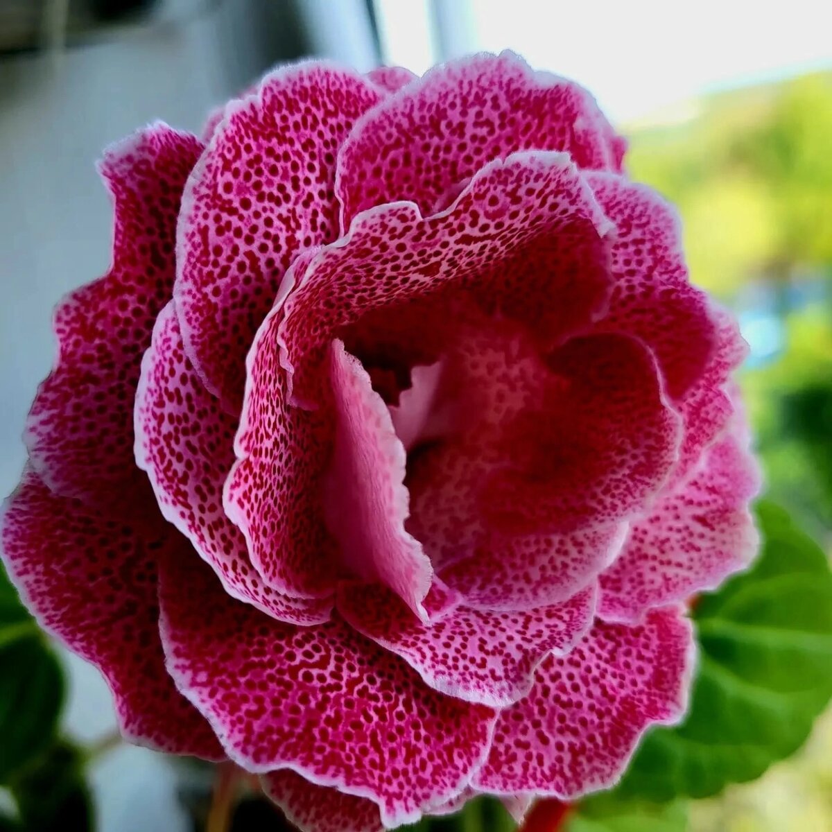 Фото из интернета