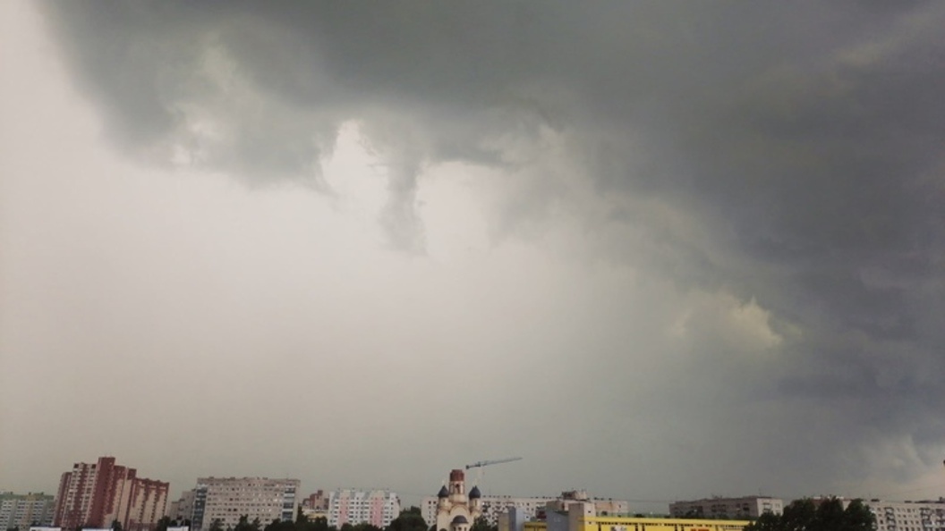    Фото: Царьград