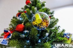    Акция «Елка желаний» проходит в России с 2018 года