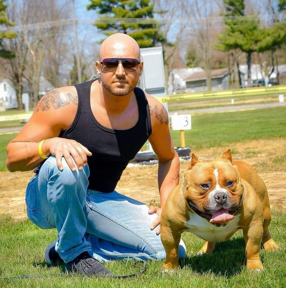 Grand Champion Muscletone`s Mr. Bean