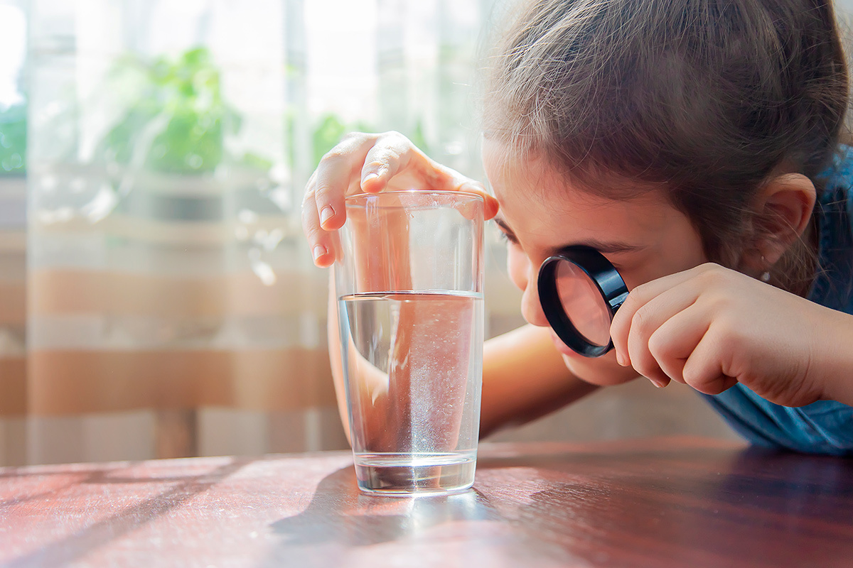    Фото: Tatevosian Yana / Shutterstock.com