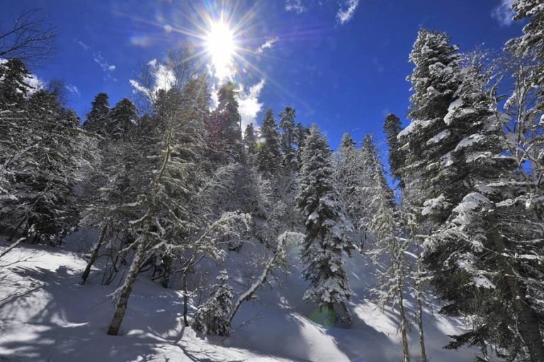 Фото: kavkazzapoved.ru