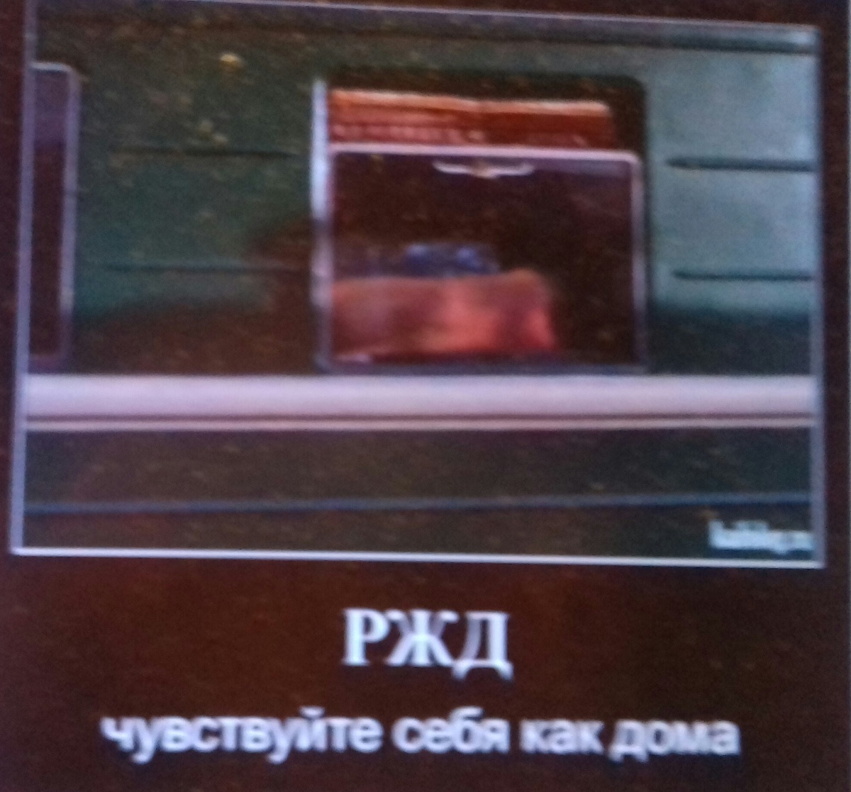 фото из интернета.