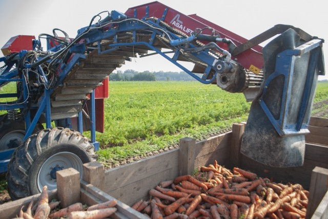   Фото из архива Калининград.Ru