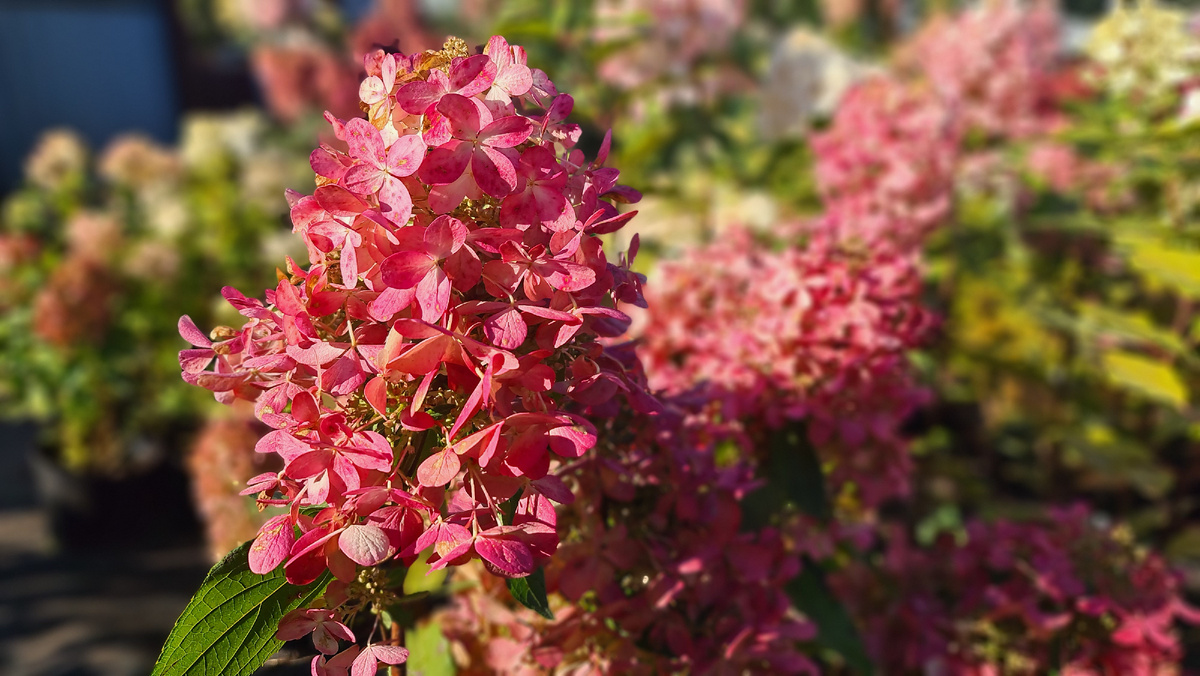 30 сентября. Казань